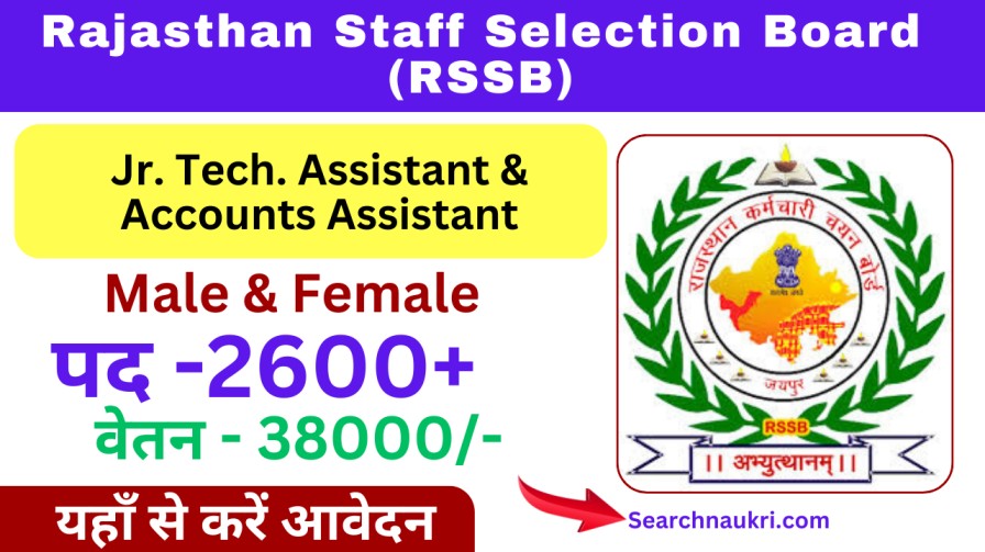 RSSB Junior Technical Assistant (JTA) and Accounts Assistant Recruitment 2025, 2600 Post, Apply Now